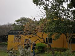 -司徒庙