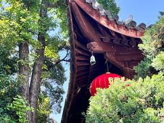-龙华寺