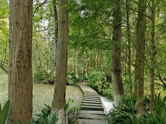 -桤木河湿地公园