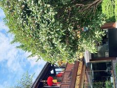 -川西坝子火锅(金沙1.0直营店)