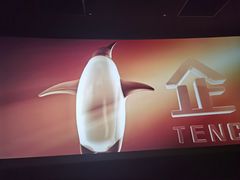 -大光明丽星VIP影城(昌里路杜比全景声店)