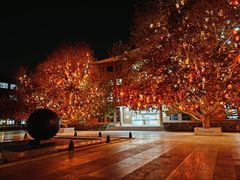 -北京市海淀外国语实验学校