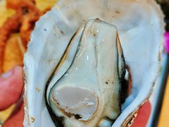 桑拿蠔-天宝食坊·啫啫煲大排档(西华路店)