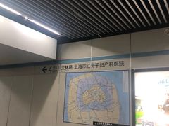-陆家浜路(地铁站)