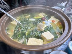 招牌花胶肚煲鸡-明月楼