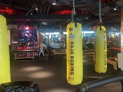-威尔仕健身(虹桥南丰城店)