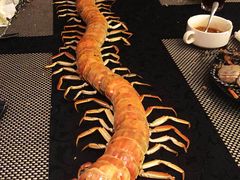 -新发展亚太JW万豪酒店·福苑咖啡厅