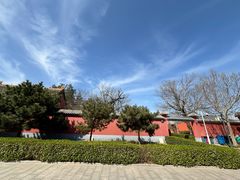 -药王庙(安国市)