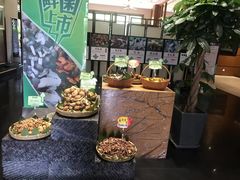 -黔蘑菇四季餐厅(观山湖店)