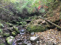 -本溪汤沟绿石谷森林公园