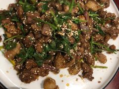 -邵年鸽(杨庄店)