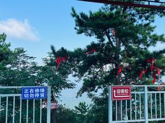 -六里坪国家森林公园