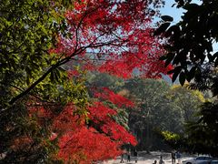 -大慈岩风景区