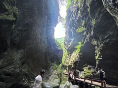 -牛背梁国家森林公园