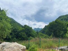 -秦岭风景区
