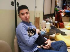 -逗柴咖啡屋·狗咖猫咖宠物桌游