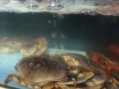 -原龙海鲜大排档(美食地标店)