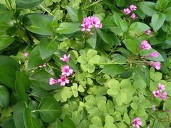 -苏州河梦清园环保主题公园