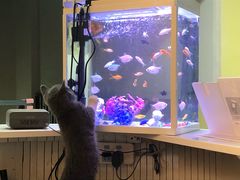 -唯美宠物生活馆(绿地国际生态城店)