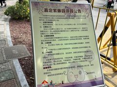 -嘉定紫藤园