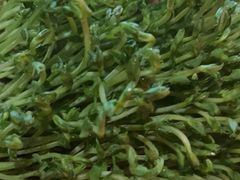 -捞王猪肚鸡火锅(昆山店)