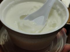 双皮奶-义顺牛奶公司(新马路老店)