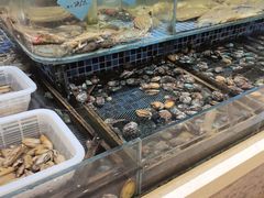 -天盛海鲜烧烤大排档·本地小海鲜·牟平腿穗子(幸福店)