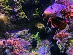 -太平洋海底世界