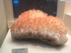 -天津自然博物馆