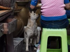 -全味面馆