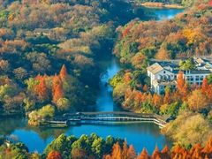 -九曜山