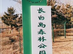 -长白岛森林公园