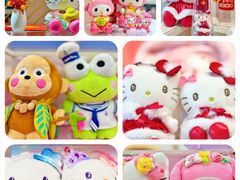 -安吉Hello Kitty乐园