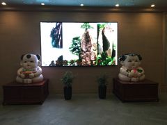 -华西龙希大酒店旅游观光区
