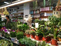 -山东嘉汇文化用品有限公司张店凤凰国际分公司(新村西路店)