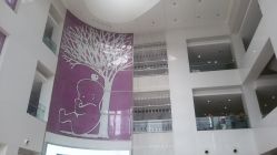 -天津市中心妇产科医院(南开院区)