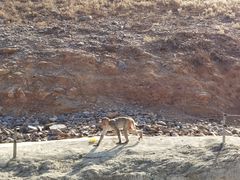 -石家庄市动物园