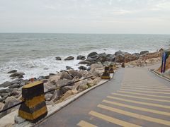 -广东惠东海龟国家级自然保护区