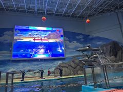 -福州罗源湾海洋世界旅游区