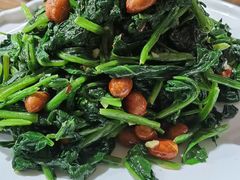 -8号蒸饺精品炖鸽子(康特商街店)