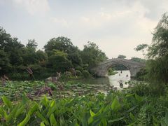 -桃花岛景观公园