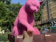 -西安电影制片厂