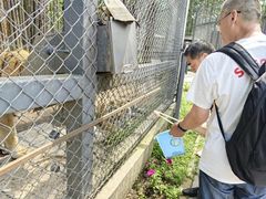 -横道河子东北虎林园