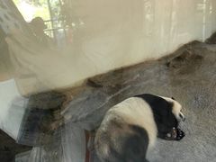 -宁波野生动物园