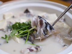 富春鱼头豆腐汤-芦茨金富饭庄·25年老字号·专做稻草鸡
