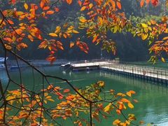 -广州市流溪河国家森林公园