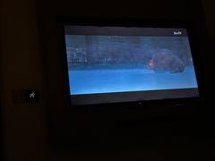 -大桶水·全国旗舰店(体育路店)