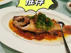 -圆苑(金茂店)