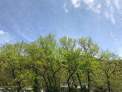 -鹿亭中村