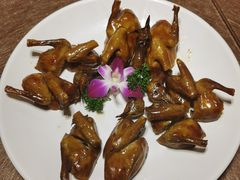 红烧乳鸽-小榄人家酒楼(民安店)